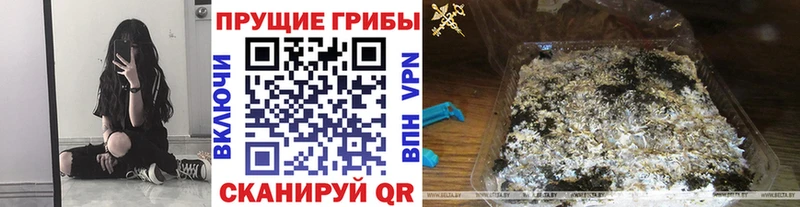 Купить где  Нижнеудинск  Галлюциногенные грибы ЛСД 